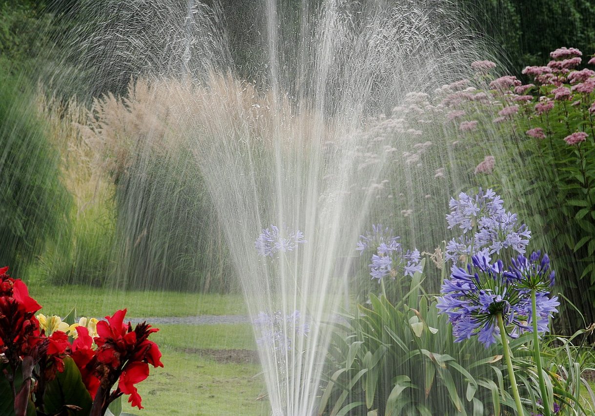 Bild von <a href="https://pixabay.com/de/users/fapro1-818589/?utm_source=link-attribution&utm_medium=referral&utm_campaign=image&utm_content=2758436">Petra Ohmer</a> auf <a href="https://pixabay.com/de//?utm_source=link-attribution&utm_medium=referral&utm_campaign=image&utm_content=2758436">Pixabay</a>