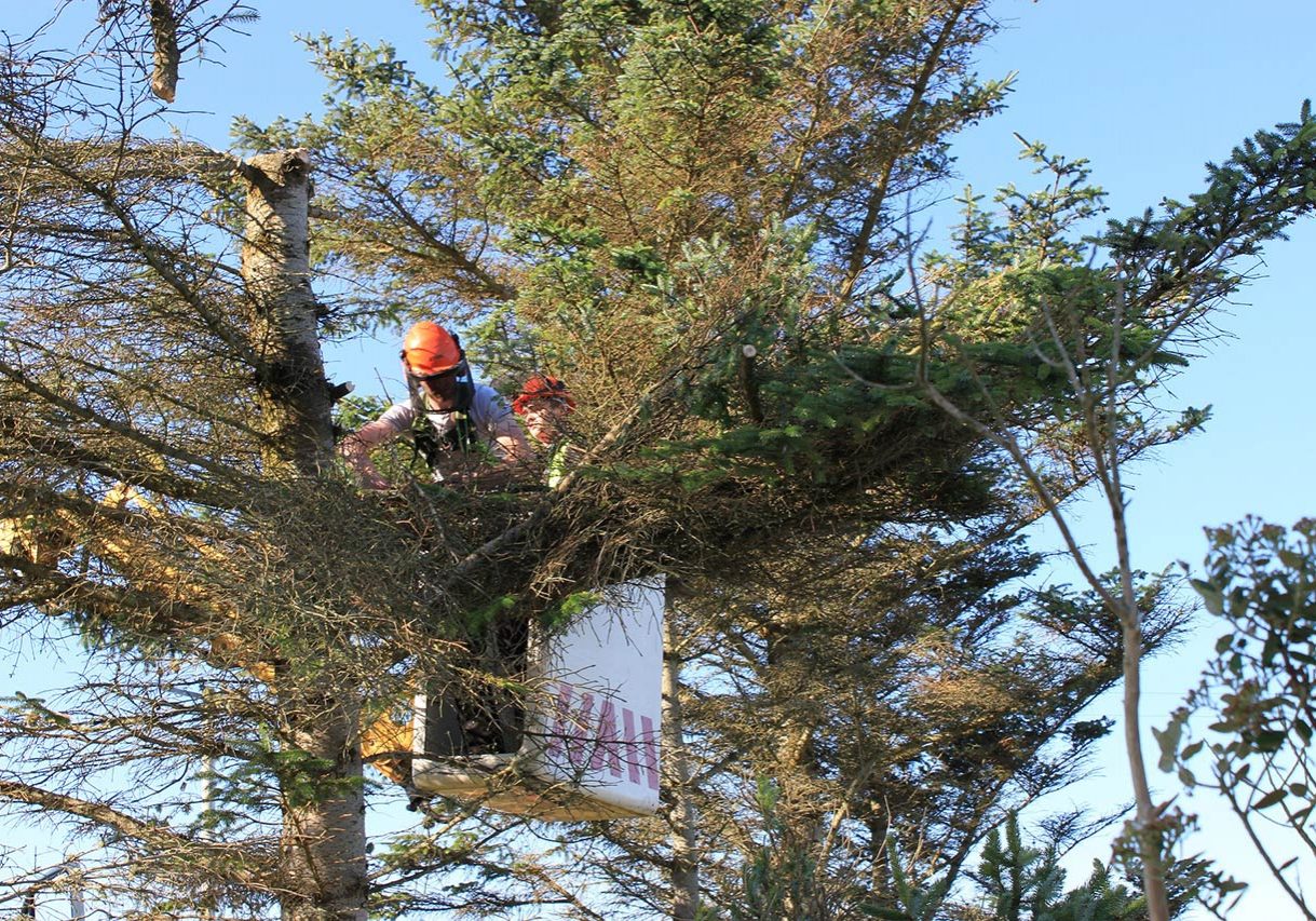 Bild von <a href="https://pixabay.com/de/users/judemac-1950583/?utm_source=link-attribution&utm_medium=referral&utm_campaign=image&utm_content=1821157">Judy Macdonald</a> auf <a href="https://pixabay.com/de//?utm_source=link-attribution&utm_medium=referral&utm_campaign=image&utm_content=1821157">Pixabay</a>